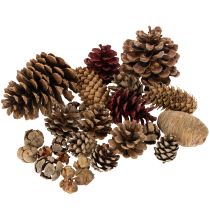 Artículo Piñas de pino variadas, naturales, para manualidades y decoración de Adviento, 2-10 unidades, 400 g