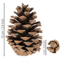 Artículo Mix de Piñas Naturales para Decoración de Invierno 400g