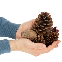 Artículo Mix de Piñas Naturales para Decoración de Invierno 400g
