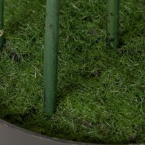 Artículo Árbol de bambú artificial, verde, 132 cm, planta de interior