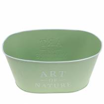 Artículo Cuenco de flores ovalado zinc verde menta 27×18cm Al.12,5cm