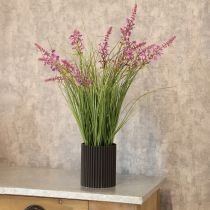 Artículo Vegetación decorativa con delicadas flores para un diseño de habitación elegante de 67 cm.