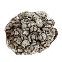 Artículo Piñas de ciprés de 3 cm, lavadas de blanco, 500 g