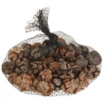 Artículo Conos de ciprés conos decorativos de ciprés natural 2-4cm 250g