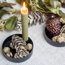 Conos de ciprés naturaleza, decoración navideña, conos de artesanía bañados en oro Ø2–3cm H2.5–3.5g 330g