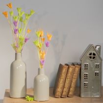 Artículo Arreglo floral seco de nigella para uso prolongado. Un elemento decorativo elegante y llamativo. 70 cm, 50 g.