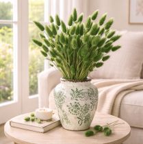 Artículo Lagurus seco (hierba cola de liebre) 65-70cm 100g