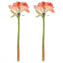 Artículo Amaryllis flores decorativas en naranja artificial L55cm 2ud