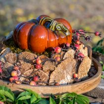 Artículo Esponja de árbol natural setas decorativas secas 6cm 1kg