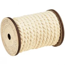 Artículo Cordón de algodón cordón decorativo crema Ø6mm 5m cada 2ud