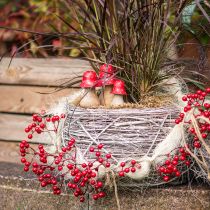 Artículo Ramas de frutos rojos brillantes – Ideal para decoraciones festivas, 30 cm – Juego de 6