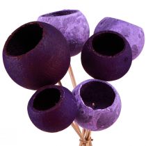 Artículo Campana en palo Decoración exótica en seco Purple Berry 44cm 15 piezas