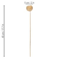 Artículo Surtido de copas de té con tallo, variedades exóticas naturales, 15 piezas