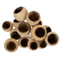 Artículo Surtido de copas de té con tallo, variedades exóticas naturales, 15 piezas