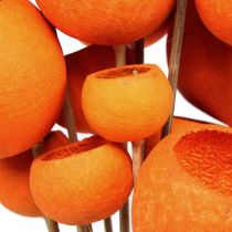 Bell Cup Mix en un palito Naranja 15uds
