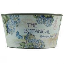 Artículo Macetero hortensias florero redondo plástico Ø21cm H11cm