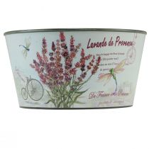 Artículo Macetero lavanda de plástico para flores redondo Ø21cm H11cm