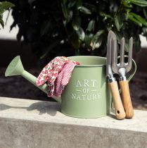 Artículo Regadera para maceta verde menta zinc Ø16,5cm H17cm