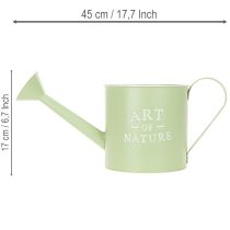 Artículo Maceta, regadera decorativa, maceta de zinc verde menta, Ø16,5 cm