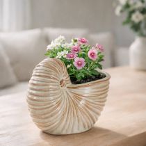 Artículo Maceta de cerámica con diseño de caracol para arreglos especiales de plantas, 21cm