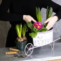 Artículo Carretilla con maceta y elegante diseño color lavanda, 46 cm.