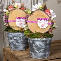 Artículo Maceta metálica de estilo shabby chic con diseño en forma de corazón, Ø22cm, H17.5cm