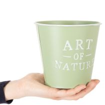 Artículo Maceta de zinc, verde menta, Ø15cm, H13,5cm