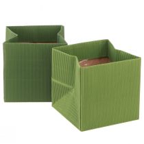 Artículo Bolsa de flores verde verde oliva canalé con lámina 10,5cm 6uds