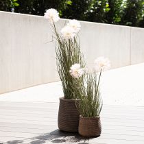 Artículo Macetero boho macetero aspecto trenzado de cerámica Ø9cm H10.5cm 2pcs