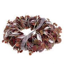 Artículo Mora Brachyciton escarchada 500g