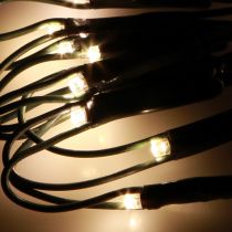 Artículo Red de luz exterior cadena de luces de boj 60 LED Ø35cm