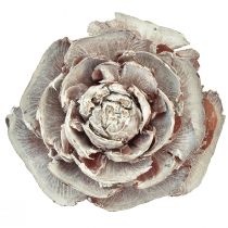 Artículo Conos de cedro cortados como rosa cedro rosa 4-6cm blanco/natural 50 piezas