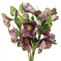 Artículo Rosas de Navidad Rosa de nieve artificial Flor morada L35cm 6 piezas