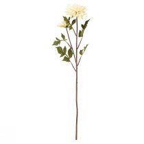 Artículo Flor artificial crema crisantemo con 2 flores L70cm