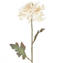 Artículo Crisantemo Flores Decorativas Artificiales Crema L72cm 2uds