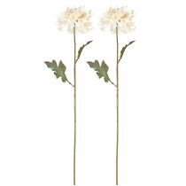 Artículo Crisantemo Flores Decorativas Artificiales Crema L72cm 2uds