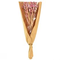 Artículo Curry Herb Siempreviva Artificial Rosa L28cm 12 piezas 1 manojo