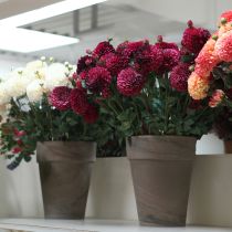 Artículo Flores artificiales de dalia con flor morada Ø10cm L80cm 2uds