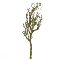 Artículo Rama decorativa con musgo artificial decoración otoñal gris verde L78cm