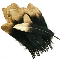Artículo Plumas decorativas plumas de ganso reales de oro negro 15-20cm 50uds