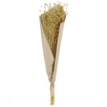 Artículo Flores de lino secas decorativas, color verde oliva, 50 g