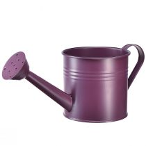 Artículo Regadera decorativa macetero de metal morado Ø13,5cm H12,5cm