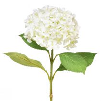 Artículo Hortensia decorativa hortensia bola de nieve blanca artificial 65cm