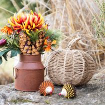 Artículo Calabaza decorativa rafia natural rústica decoración otoñal Ø25cm H25cm