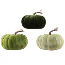 Artículo Calabaza decorativa otoño verde verde oscuro verde claro Ø18cm 3 uds