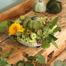 Artículo Calabaza decorativa otoño verde verde oscuro verde claro Ø18cm 3 uds