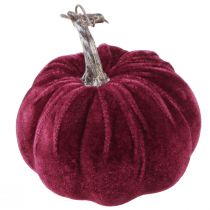 Artículo Calabazas decorativas flocadas rosa burdeos Ø13cm H11,5cm 3 piezas