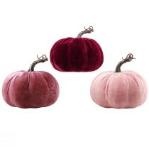 Artículo Calabazas decorativas flocadas rosa burdeos Ø13cm H11,5cm 3 piezas