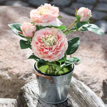 Artículo Rosa decorativa en maceta, románticas flores de seda, peonía rosa