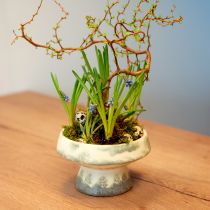 Artículo Cuenco decorativo cerámica con base crema gris verde Ø17cm 10cm